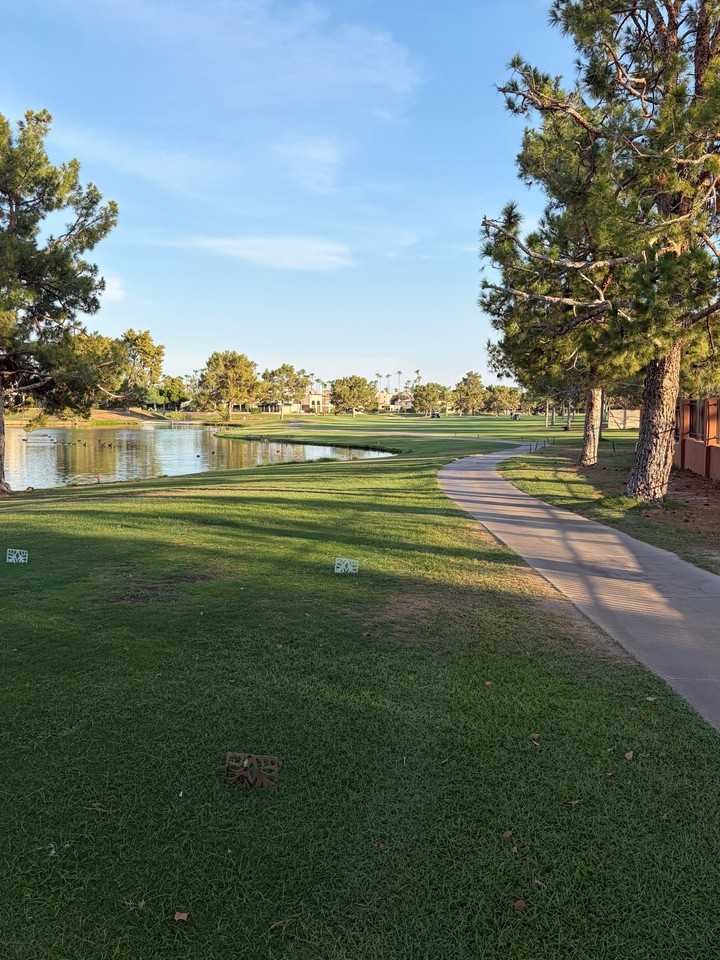 3235 E Camelback Rd #105 - Photo 7 of 21