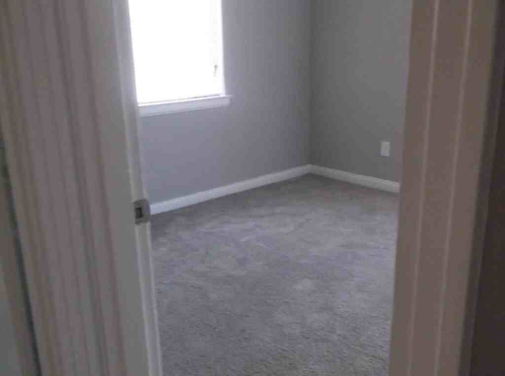 306 S Lauderdale St #4 - Photo 6 of 10