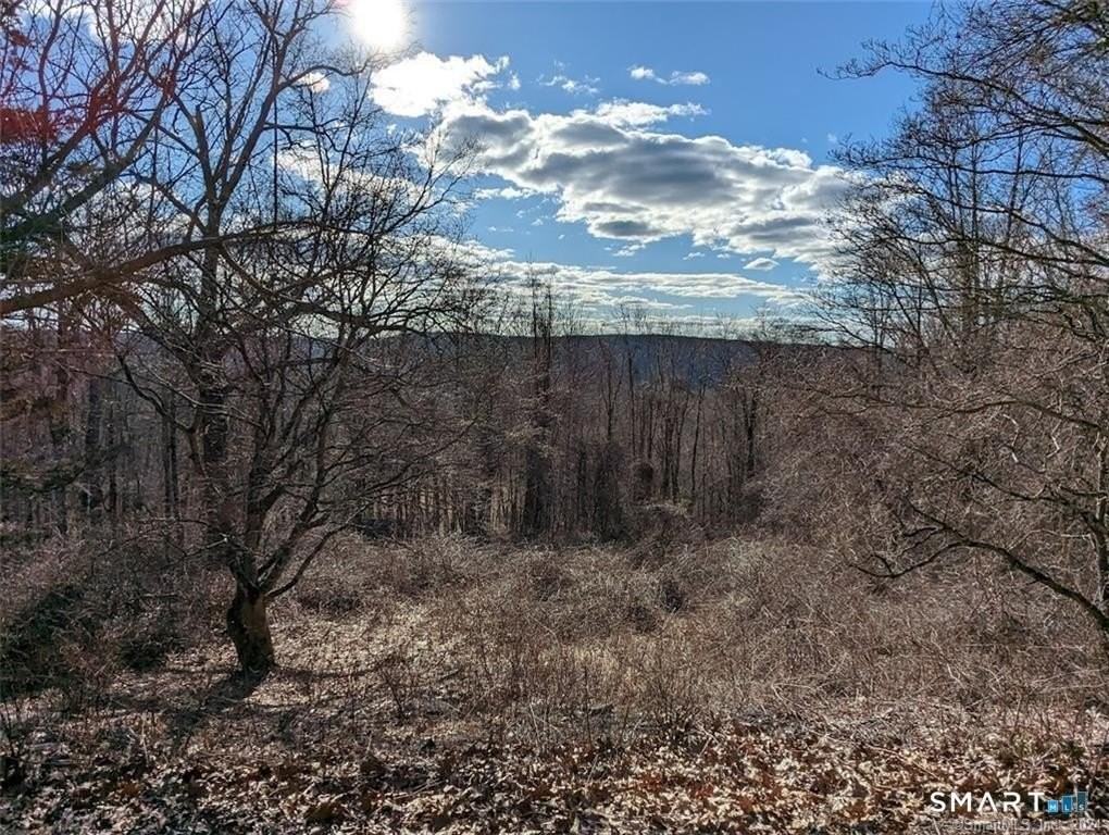 66 Ball Hill Rd - Photo 6 of 38