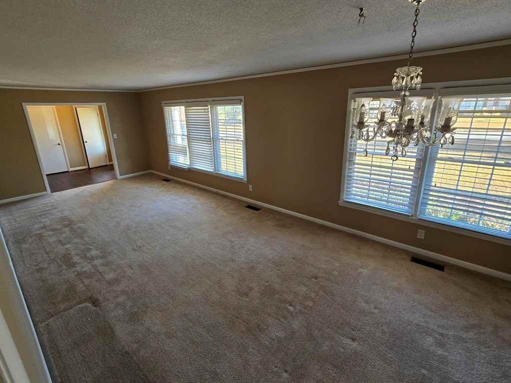 406 Audubon Dr - Photo 5 of 16