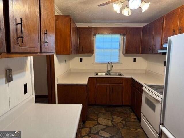 313 Carter St - Photo 6 of 27