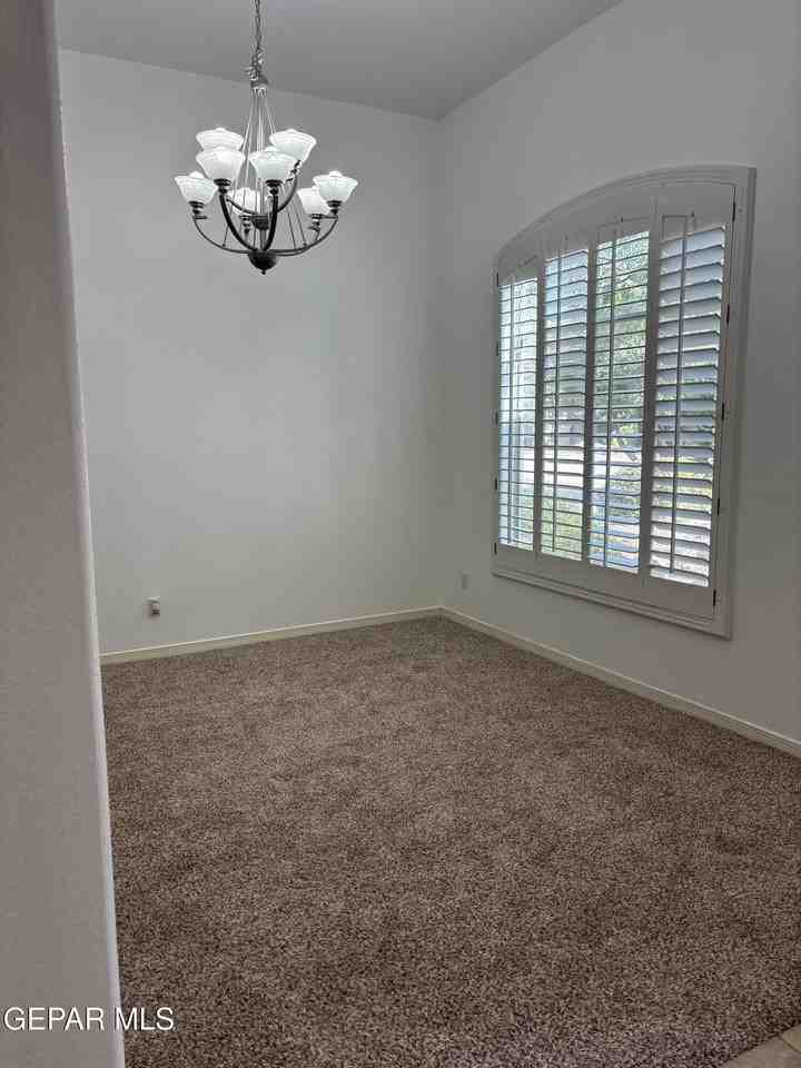 717 Cinnamon Teal Cir - Photo 4 of 15