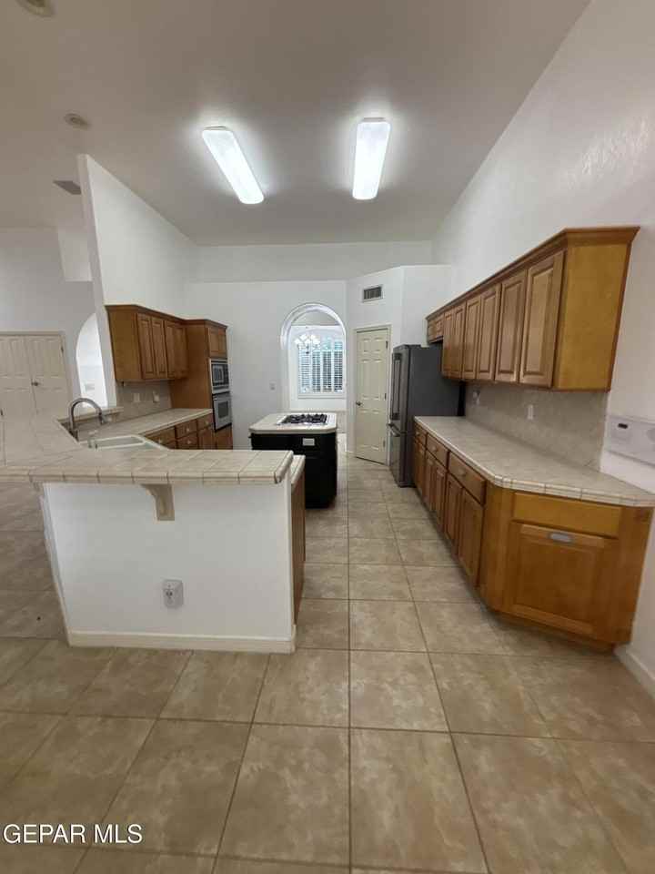 717 Cinnamon Teal Cir - Photo 7 of 15