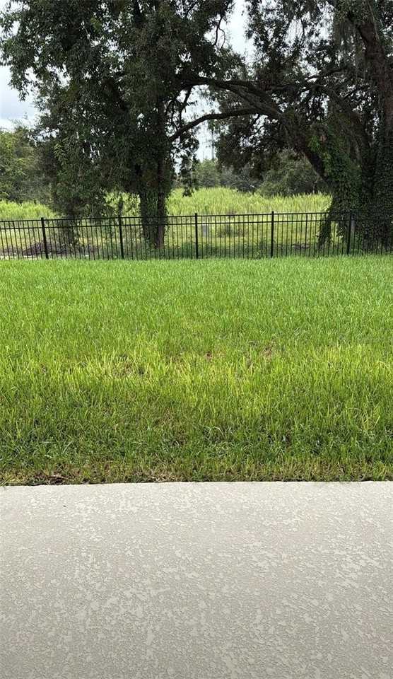 15075 Tea Tree Dr - Photo 7 of 38