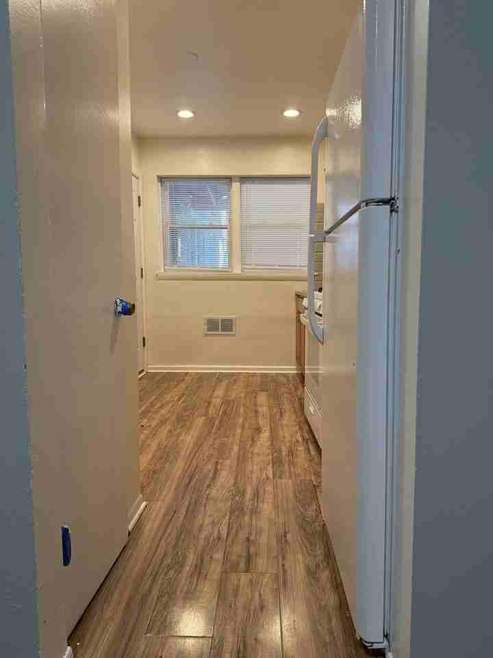 1727 W North Shore Ave #1F - Photo 6 of 11