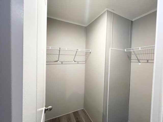 46000 Geddes Rd #541 - Photo 7 of 18