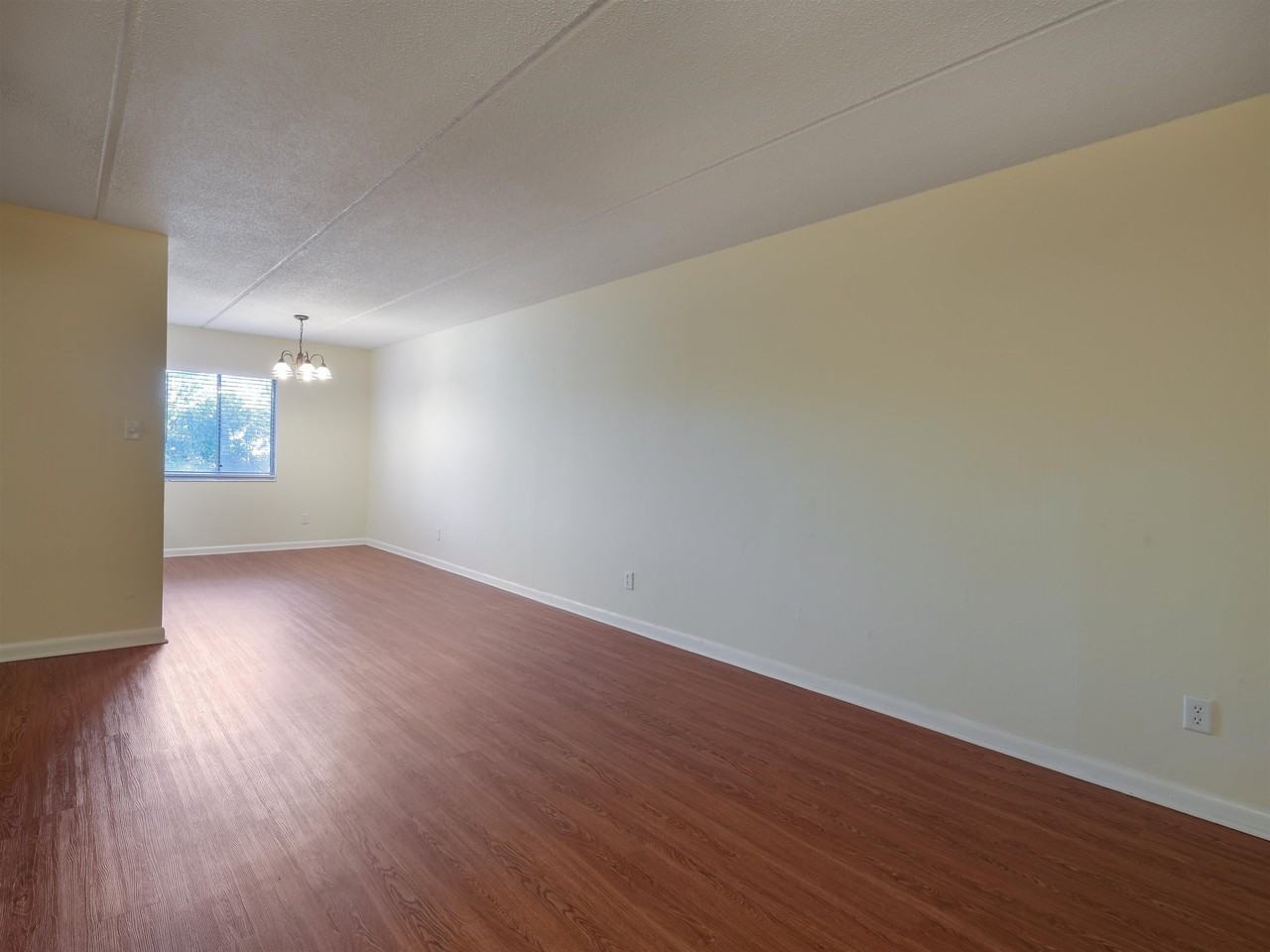 545 E 7th Ave #102 - Photo 3 of 20