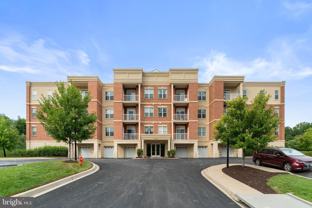 10520 Resort Rd #309 - Photo 1 of 1