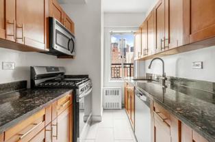 347 E 51st St #PHA - Photo 1 of 1