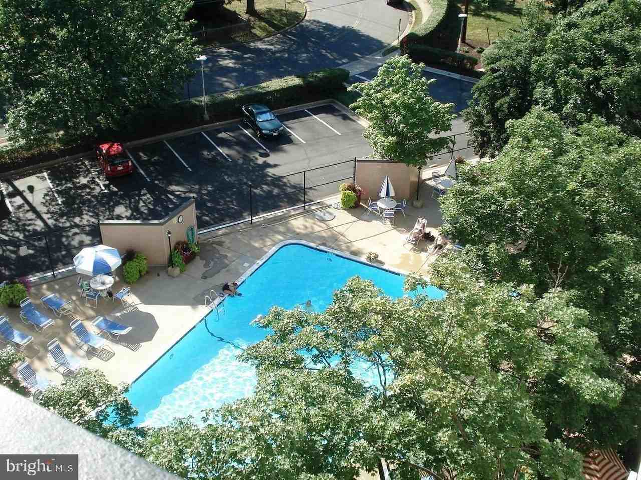 4501 Arlington Blvd #223 - Photo 4 of 11