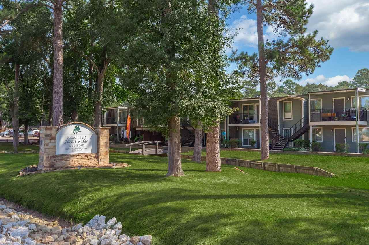 Reserve at Forest Ridge - Photo 4 of 50