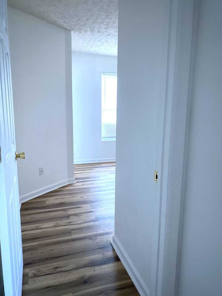 741 Colleton St #NA - Photo 5 of 5