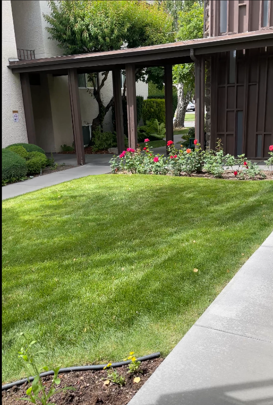 2711 W Euclid Ave #107 - Photo 4 of 20