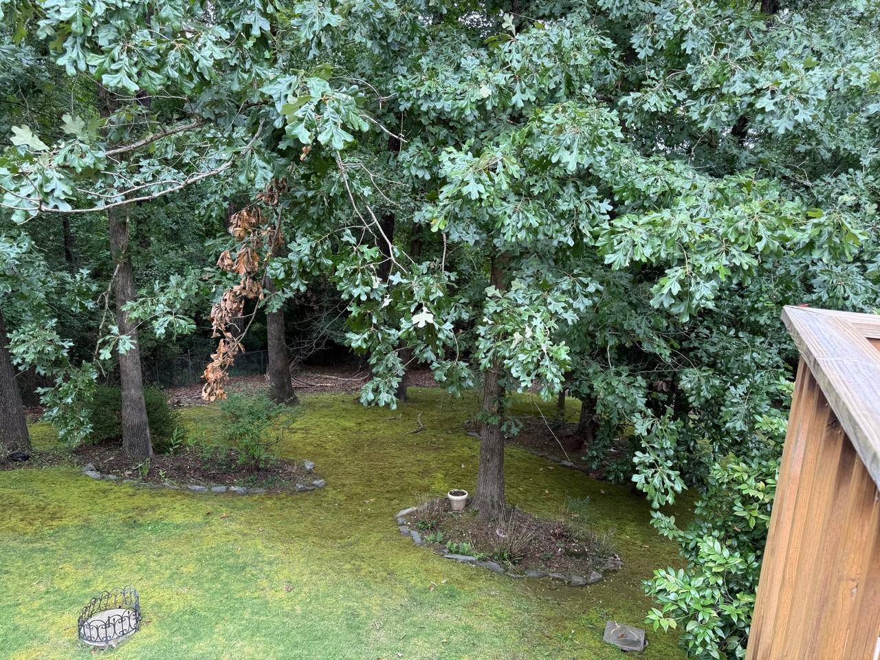 3605 Ridge Ranch Cir - Photo 2 of 20