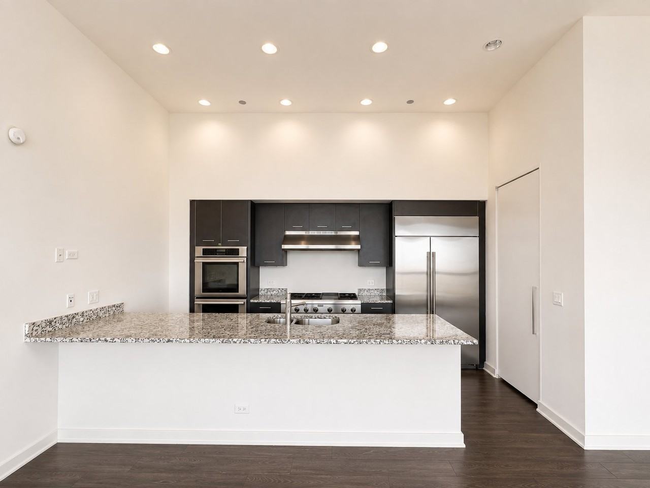 900 W Huron St #914 - Photo 3 of 20