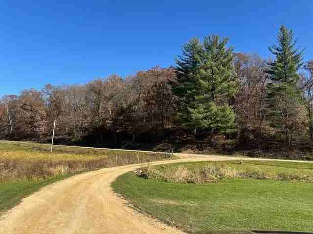 1906 Squirrel Hill Rd - Photo 6 of 20