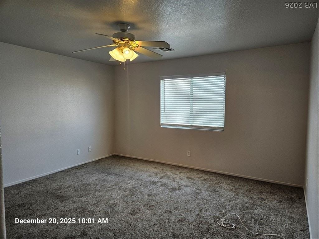 9998 Fine Fern St - Photo 7 of 16