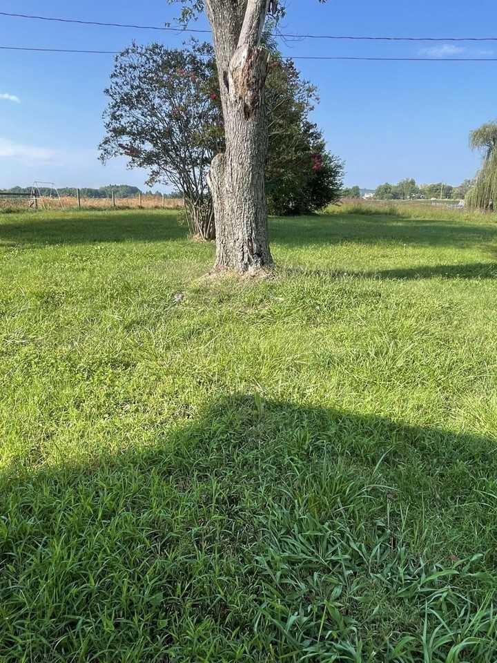 5096 Battlefield Rd - Photo 5 of 23