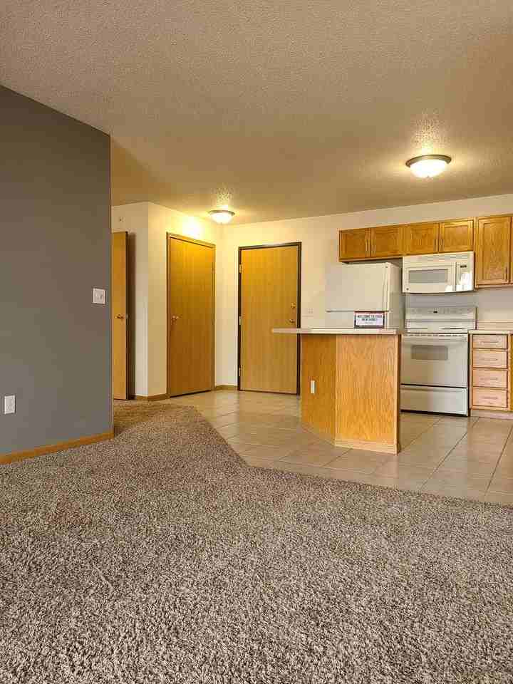 5002 16th Ave S - Photo 6 of 22