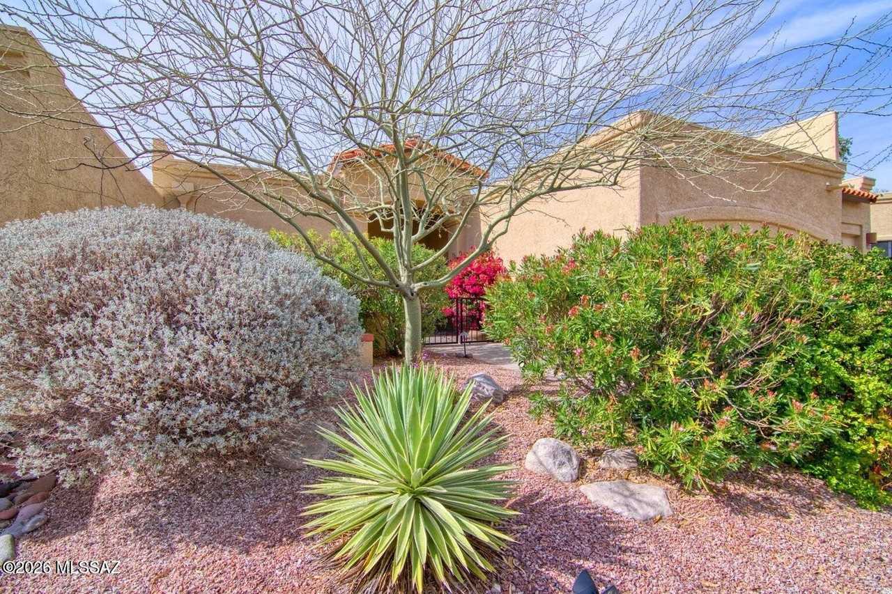 1232 E Camino Diestro - Photo 5 of 39