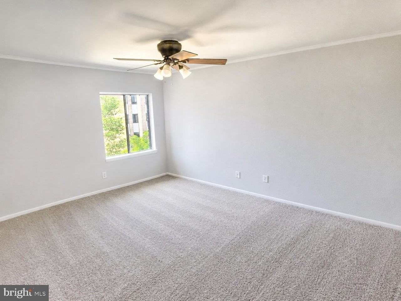 11210 Cherry Hill Rd #116 - Photo 5 of 19