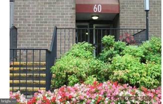 60 S Van Dorn St #502 - Photo 1 of 1