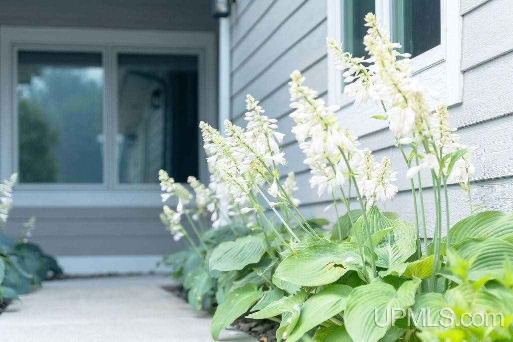 22595 Bayview Ln - Photo 5 of 50
