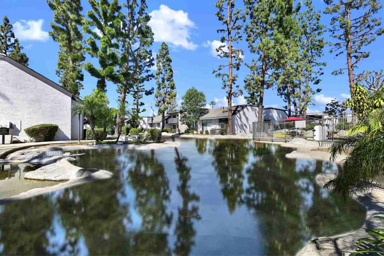 THE STREAMS - Photo 7 of 20
