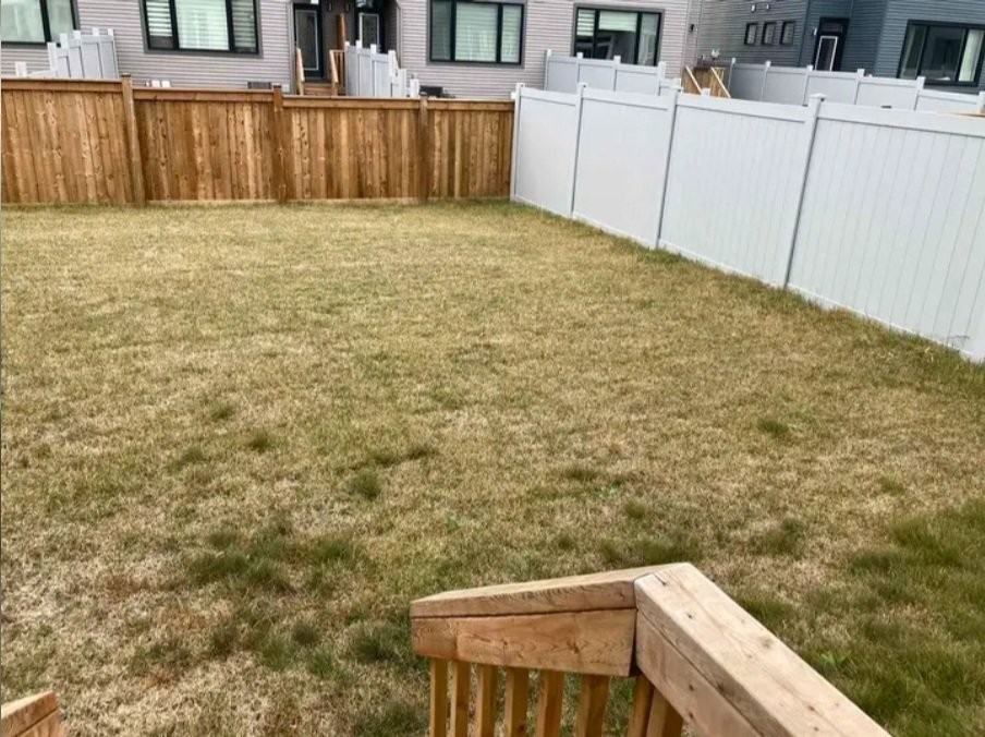 834 Paseana Pl - Photo 3 of 12