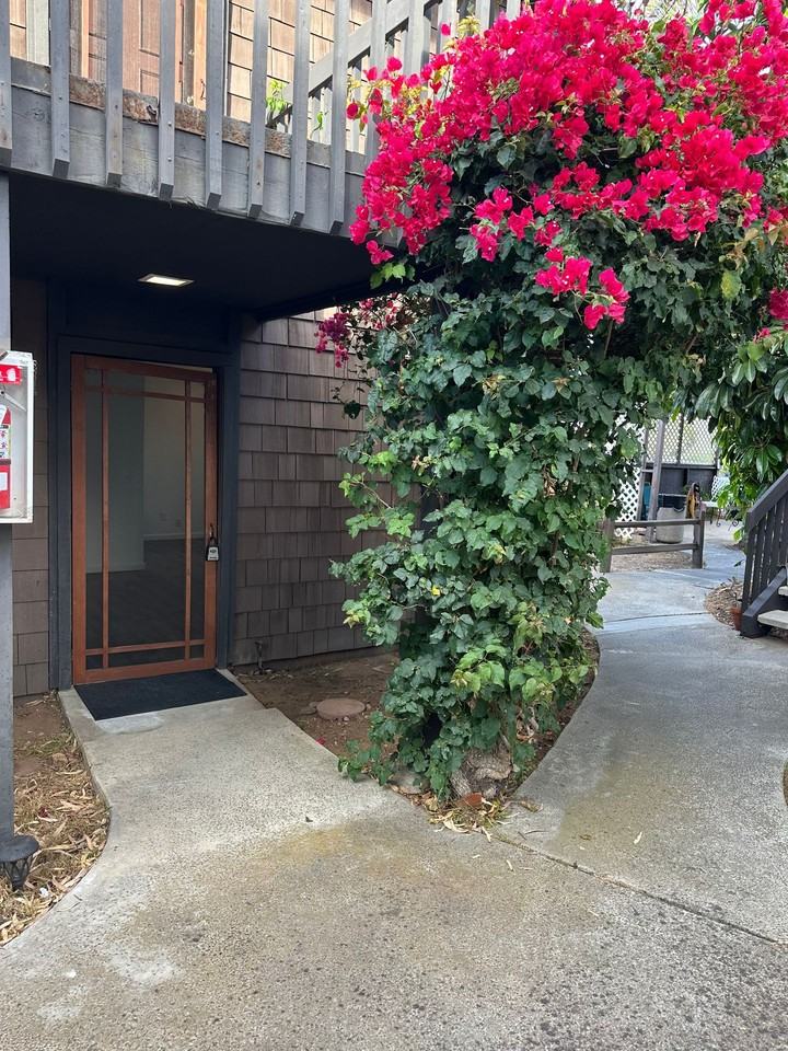Sea Chase (Acacia Avenue) - Photo 3 of 4