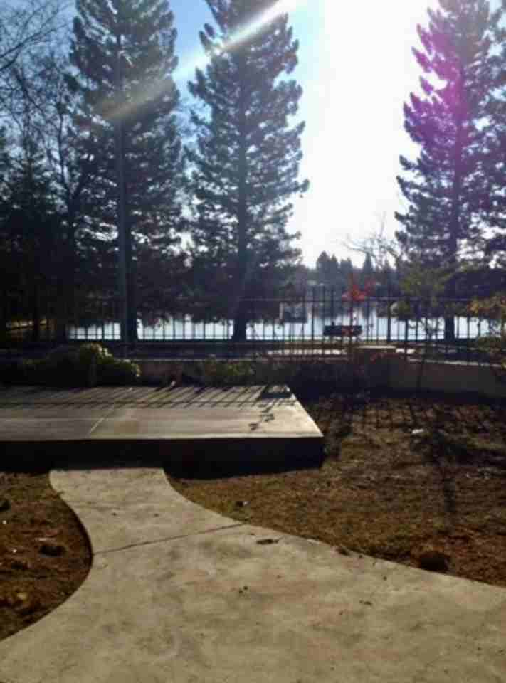10642 N Seacrest Dr #NA - Photo 7 of 12
