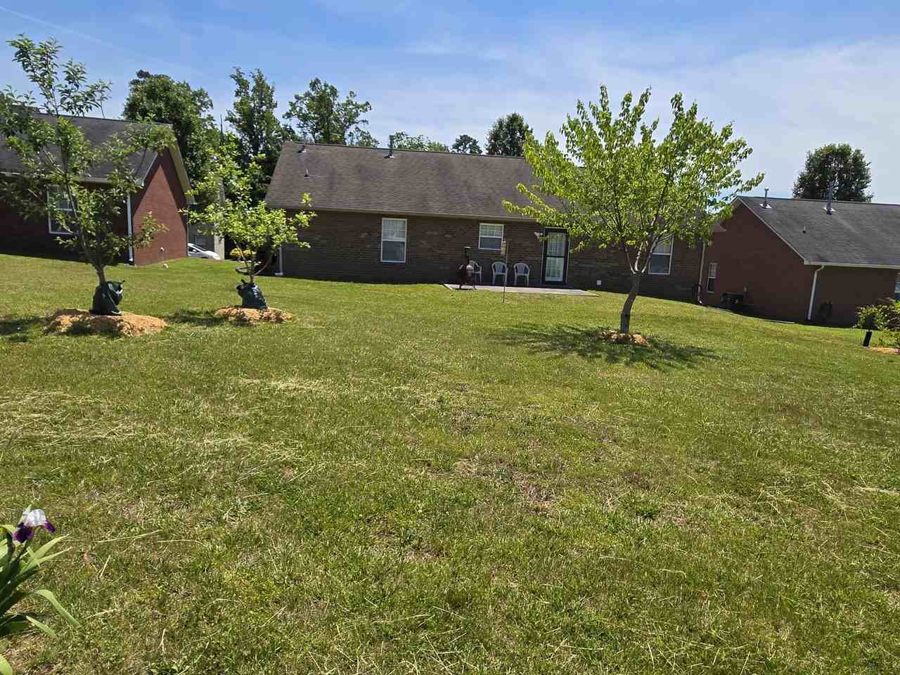 6729 Casa Bella Dr #NA - Photo 7 of 10