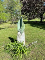 featured image of 205 Padgettown Rd