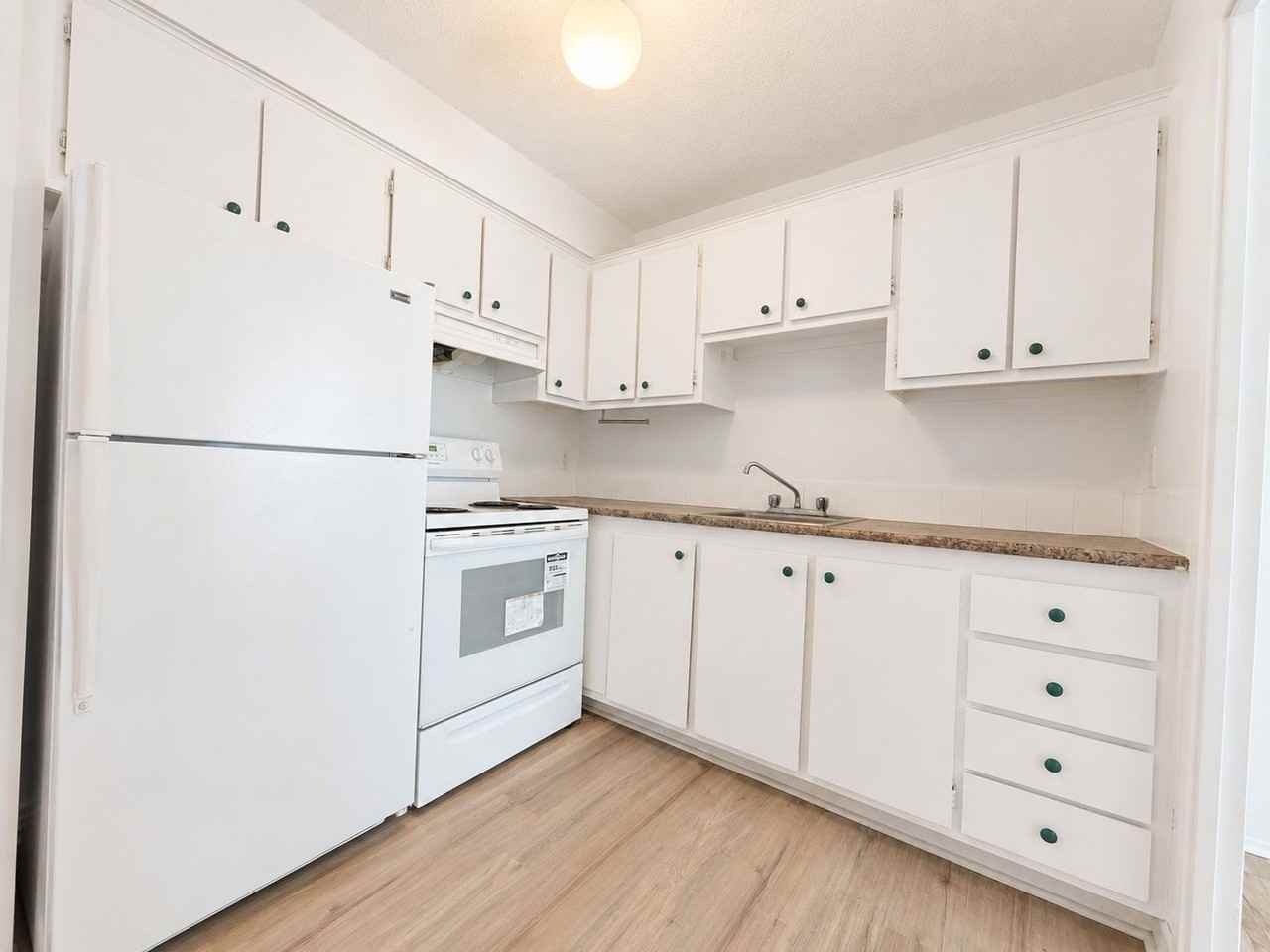 1595 Henri Bourassa - Photo 7 of 19