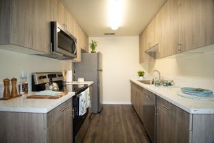 Gold Coast Apartments - Photo 1 of 1