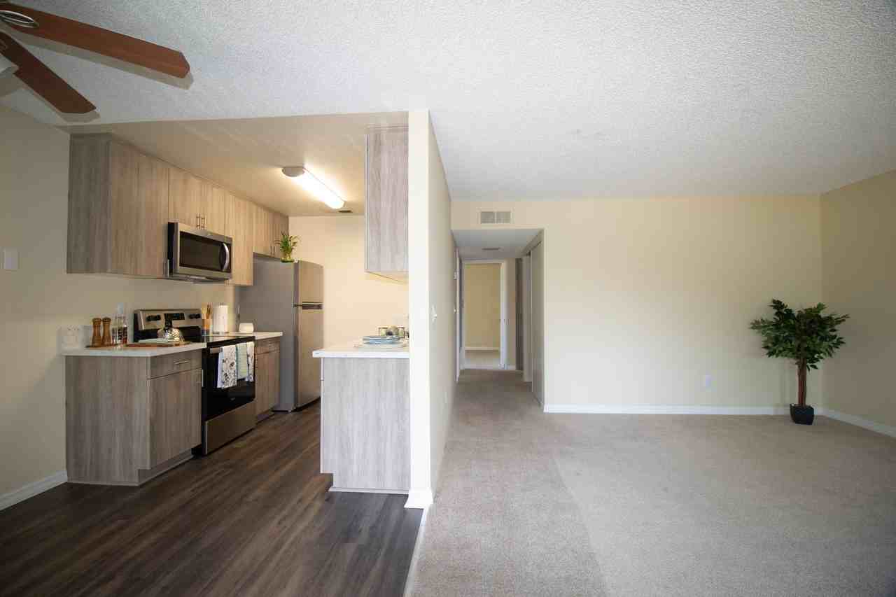 Gold Coast Apartments - Photo 3 of 25