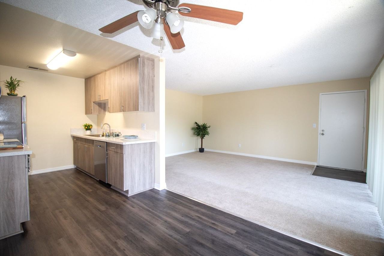 Gold Coast Apartments - Photo 4 of 25