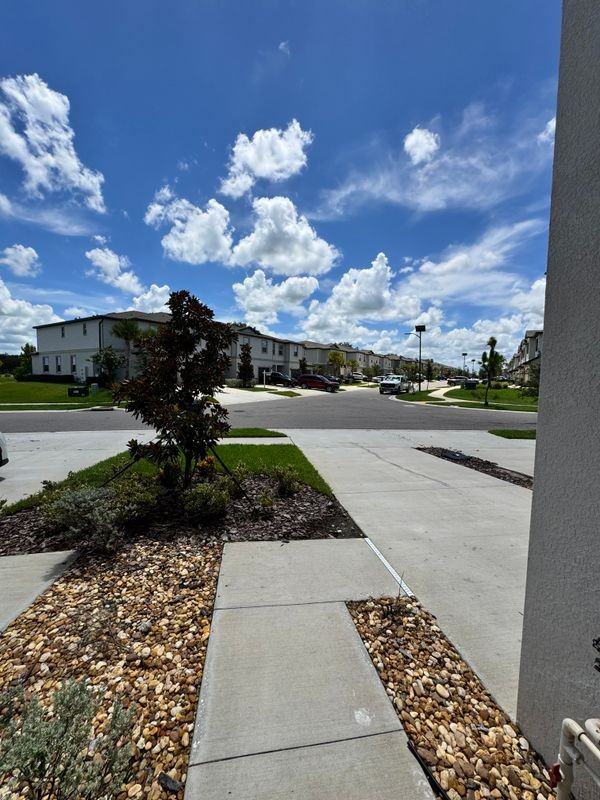 32235 Powderpuff Mimosa Dr - Photo 3 of 28