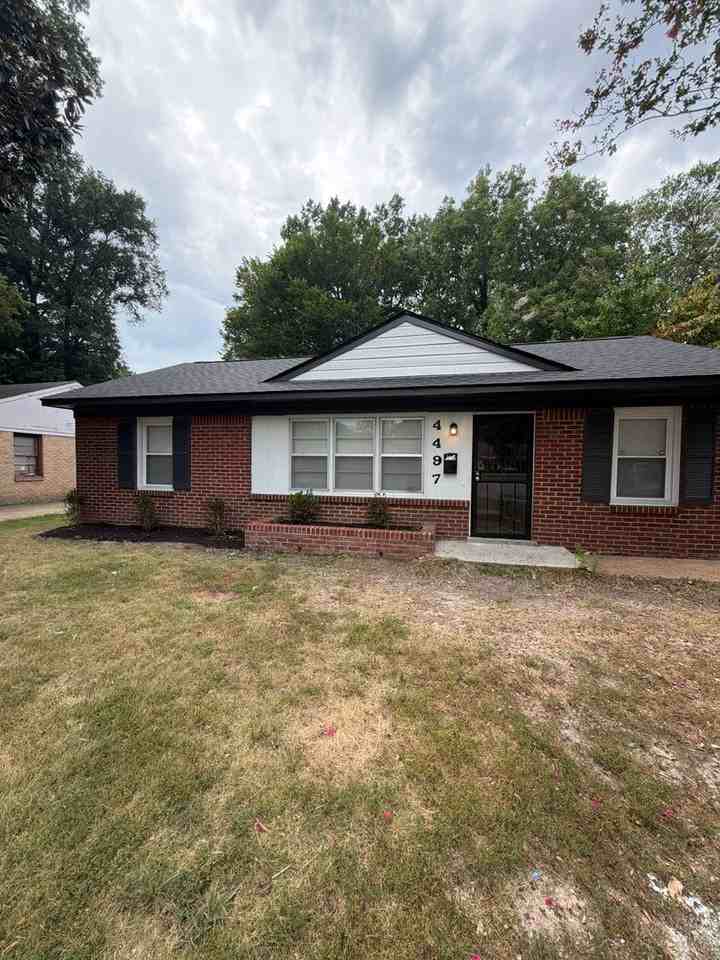 4497 Quince Rd - Photo 3 of 7