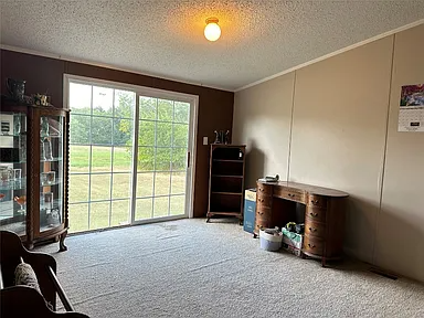 44306 Hardesty Rd - Photo 5 of 12