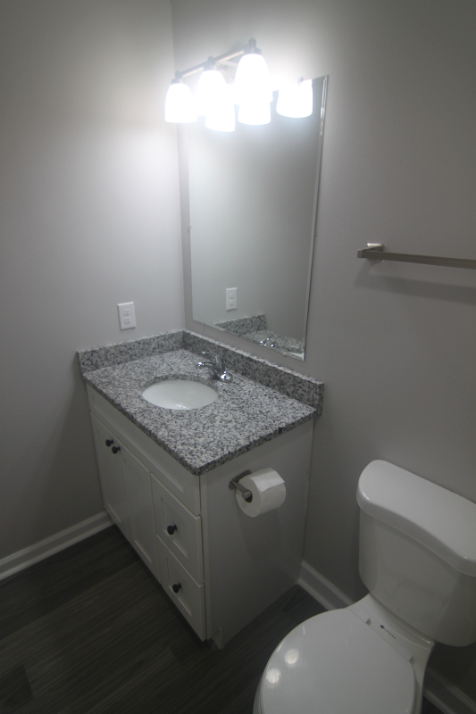 256 Chestnut Ln - Photo 5 of 19