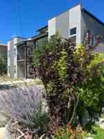 featured image of 312 Hulbert Ave #A