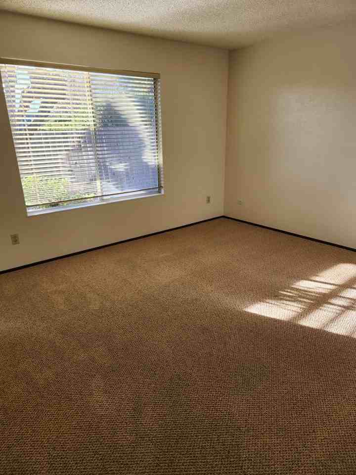 5345 Eagan Ct - Photo 4 of 14
