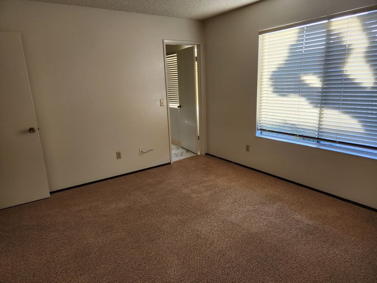 5345 Eagan Ct - Photo 5 of 14