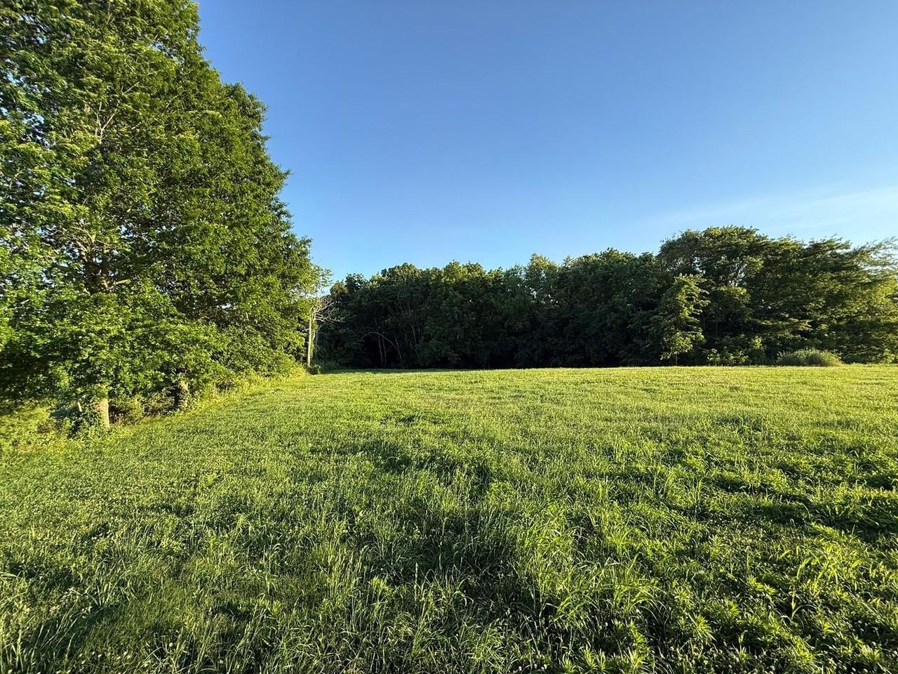 1397 Watts Rd - Photo 3 of 13