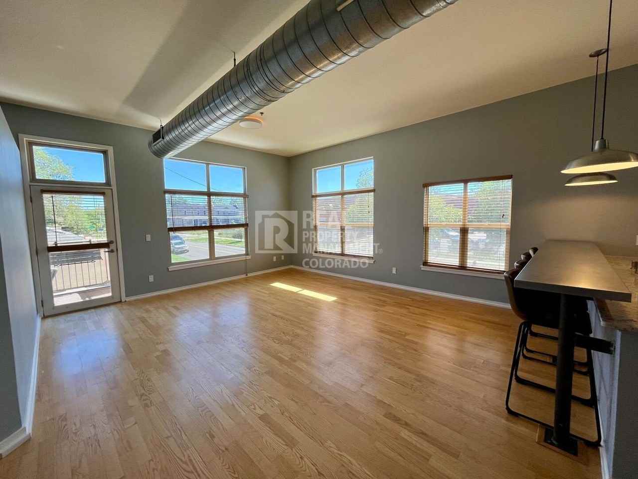 2900 N Downing St #206 - Photo 4 of 15