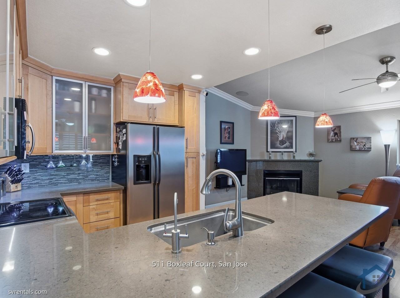 511 Box Leaf Court - Photo 4 of 23