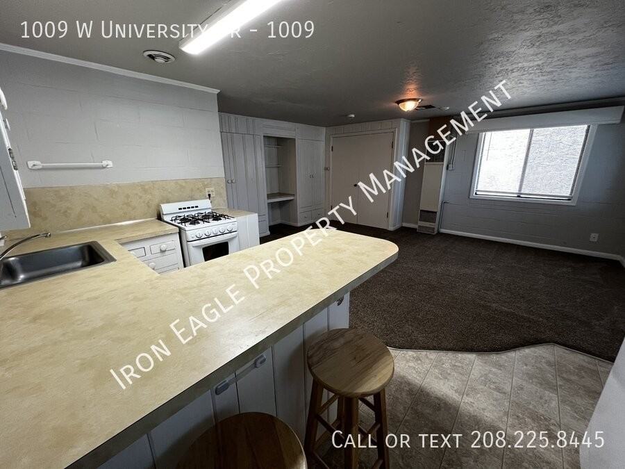 1009 W University Dr #1009 - Photo 4 of 5