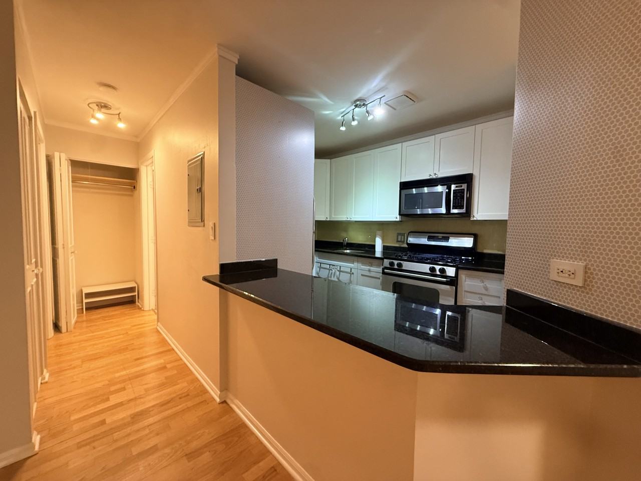 6102 N Sheridan Rd #208 - Photo 2 of 8
