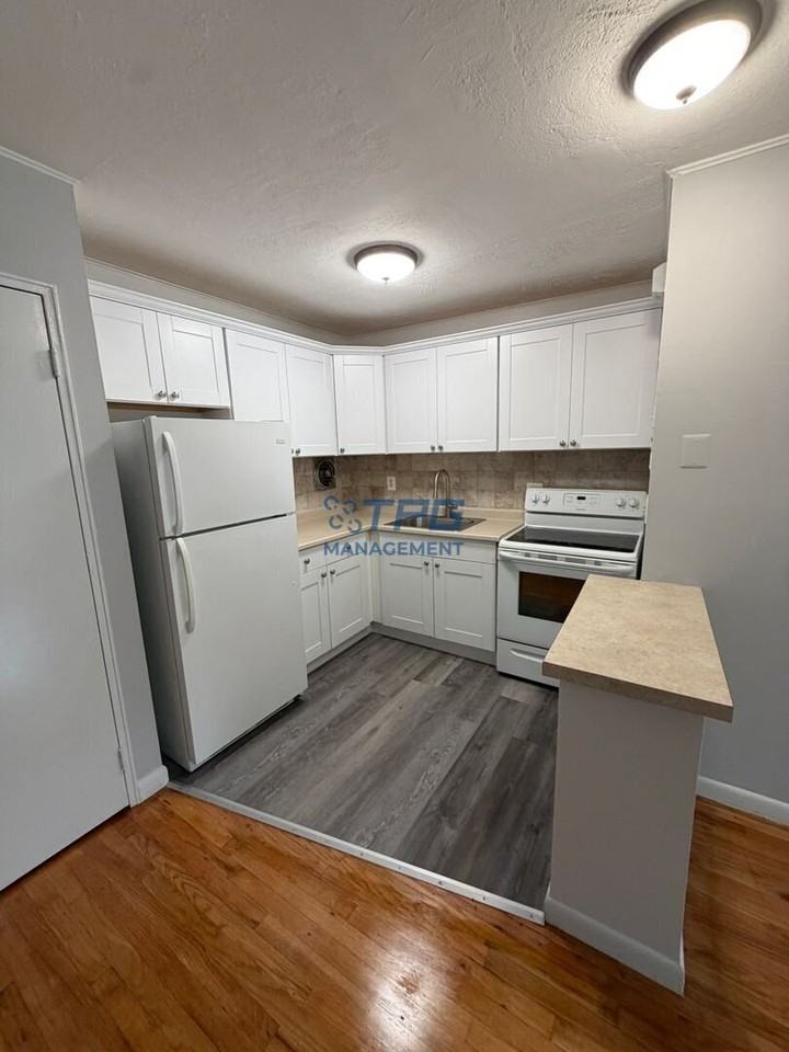 239 Spring St #A5 - Photo 3 of 6